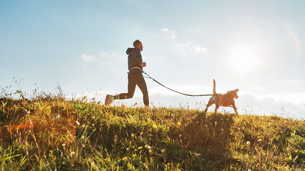 How Much Exercise Does Your Dog Need?