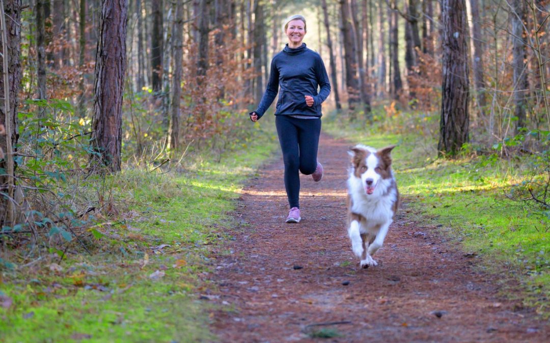 Different Types of Exercise for Dogs