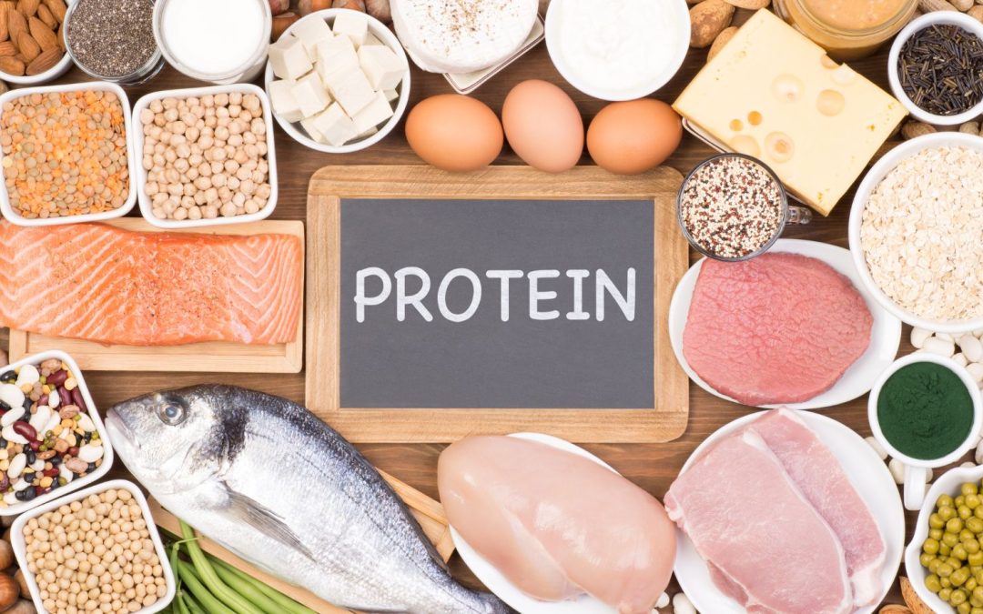 Protein Power: Understanding the Vital Role of Protein in Dog Food