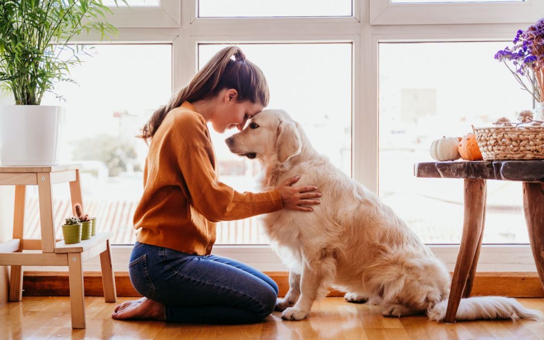 The Transformative Power of Canine Companionship: Exploring the Mental Health Benefits of Having a Dog