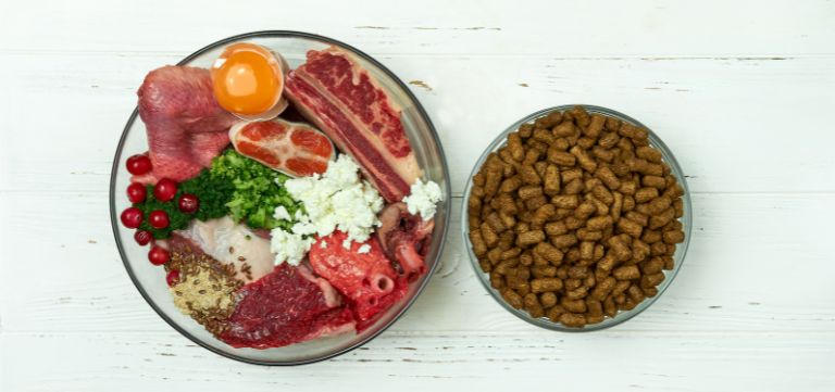 The Benefits of Dry Dog Food: Why It’s Superior to Human Food for Dogs