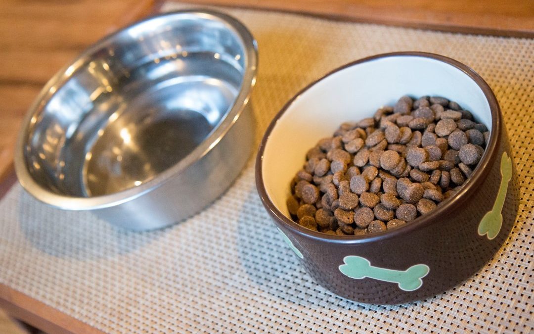 Essential Nutritional Requirements for Dogs